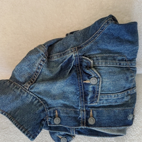 Jacket - Picture 5 of 5